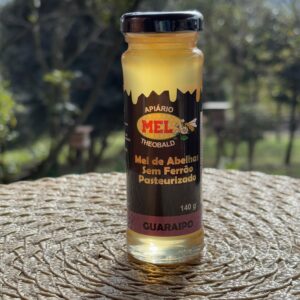 Mel Abelha sem Ferrão Guaraipo Pasteurizado 140g Embalagem de vidro - 1un