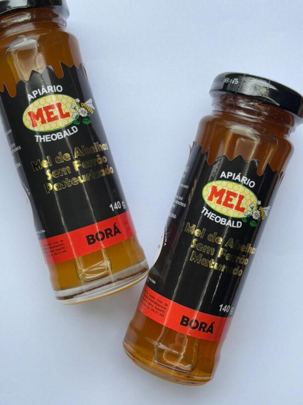 Mel Abelha sem Ferrão Borá Maturado 140g Embalagem de vidro - 1un